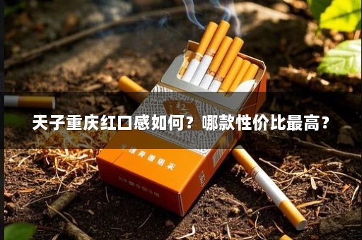 天子重庆红口感如何？哪款性价比最高？